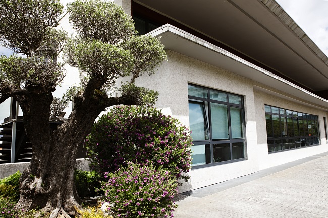 DomusVi Salesas Vigo